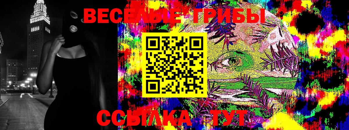 Тимашёвск  Псилоцибиновые грибы прущие грибы  Вход с VPN 